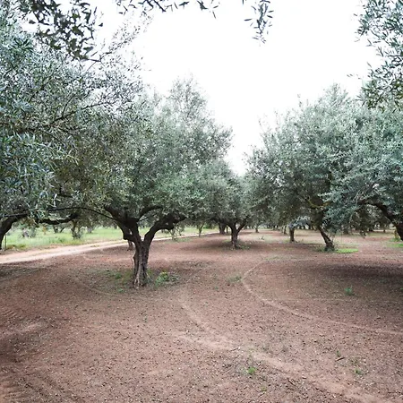 Oleopetra