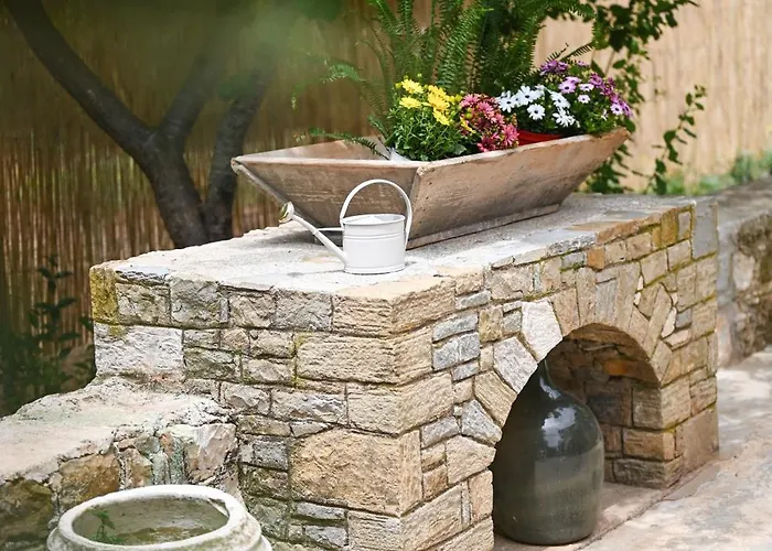 Oleopetra فيلة *